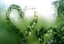 如何快速查询足彩竞彩开奖结果？